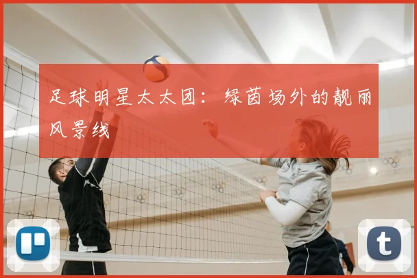 足球明星太太团：绿茵场外的靓丽风景线